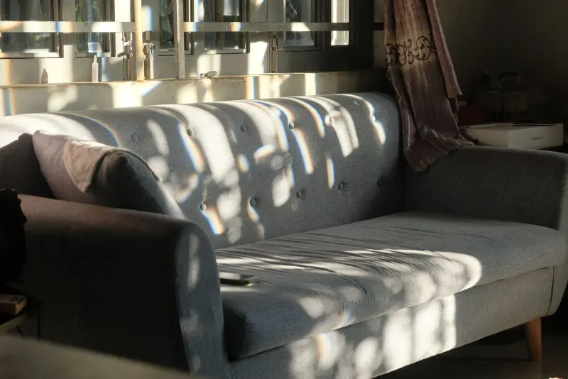 Sunlit living room with a gray sofa